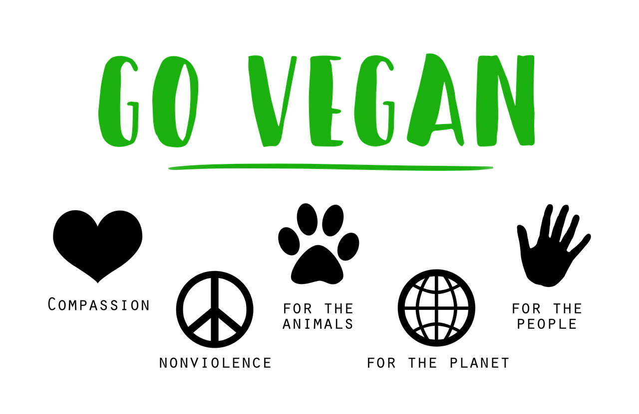 Have You Tried Going Vegan Yet? Unlock Health Benefits and Sustainable Living Now!