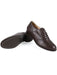 Vegan Women's Oxford Brogues | Will's Vegan Store